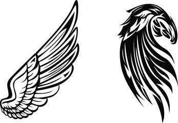 black and white wings