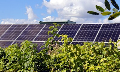 Fototapeta premium solar power ecology energy panels