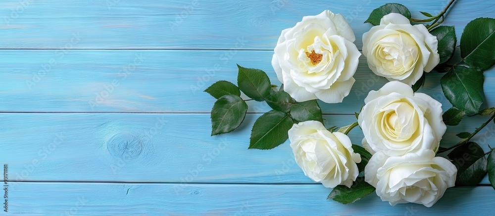 Poster top view of lovely white roses on a blue wooden surface. with copy space image. place for adding tex
