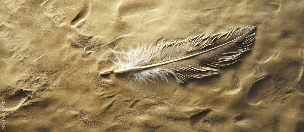 Poster a feather is created on the sand sand drawings design featuring copy space viewed from above