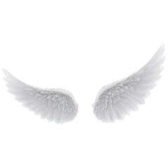 White Angel Wings isolated on transparent background