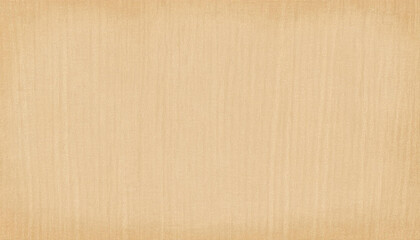 Fototapeta premium Vintage smooth paper texture background.