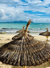 beach hut on the beach