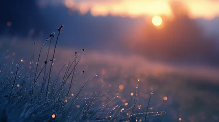 Fototapete Nebliger Morgen autumn morning with cool mist, dewy grass, soft light, and crisp air, creating a serene atmosphere as gentle fog rolls over the landscape  © cyishu