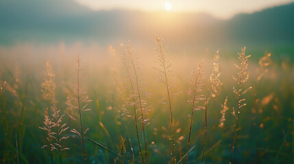 autumn morning with cool mist, dewy grass, soft light, and crisp air, creating a serene atmosphere as gentle fog rolls over the landscape