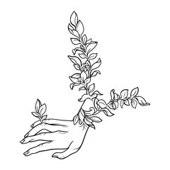 a drawing of a hand with leaf