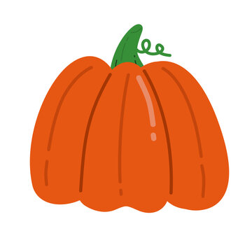 hand drawn cute pumpkin doodle cartoon