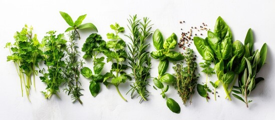 Obraz premium Different herbs and spices on a white background from a top view with copy space