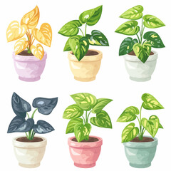 Vector Pothos simple and minimalis
