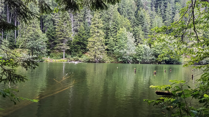 Bikaz Gorge and Lakul Roshu (Red Lake) - Eastern Carpathians - Romania - Europe 