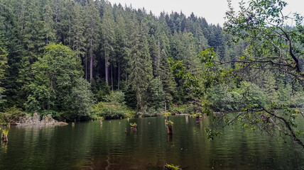 Bikaz Gorge and Lakul Roshu (Red Lake) - Eastern Carpathians - Romania - Europe 