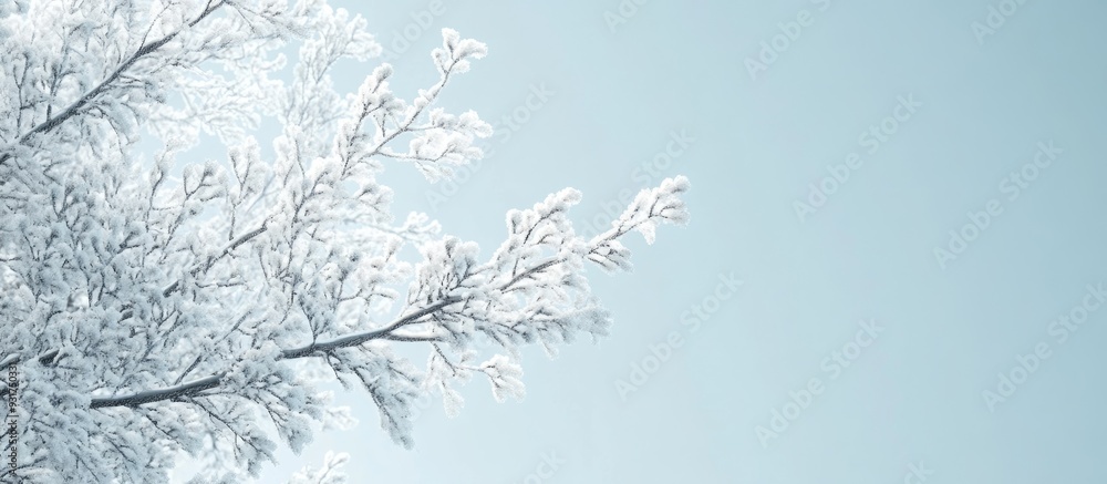 Leinwandbilder snow covered tree branches against a light blue sky in winter. with copy space image. place for addi