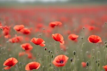 Fototapeta premium Blurred background of a field of red poppies swaying in the wind, AI Generated