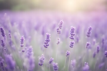 Fototapeta premium Blurred bokeh of a lavender field with soft purple hues, AI Generated