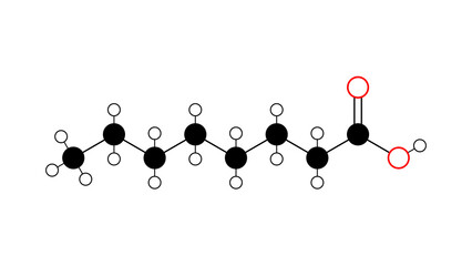 caprylic acid molecule, structural chemical formula, ball-and-stick model, isolated image saturated fatty acid