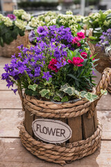 Bouquet of Spring Flowers in a Decorative Wooden case