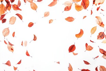 Autumn background with frame made out of leaves, fall season, autumn season	
