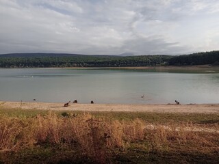 Lac de Montbel, Rives de L&eacute;ran, L&eacute;ran, Ari&egrave;ge, Occitanie, France