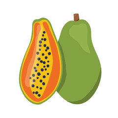 ripe papaya fruit - vector illustration