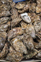 Oysters on sale in a Paris street market