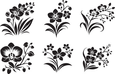 Black silhouette of orchid flowers. Vector illustration.