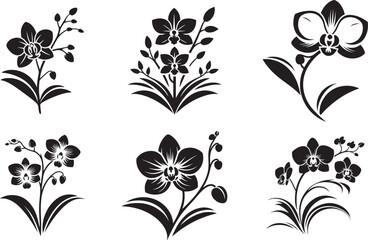 Black silhouette of orchid flowers. Vector illustration.