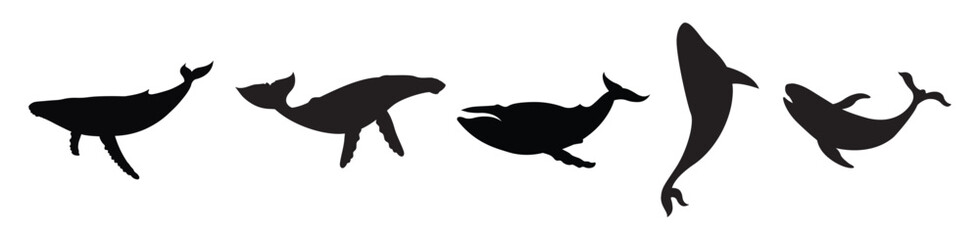 Group of blue whale silhouettes.
