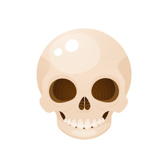 Halloween cartoon skull illustration. Vector illustration on white background.