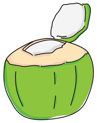 Young green coconut, smooth colored vector drawing