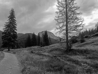 Bikaz Gorge and Lakul Roshu (Red Lake) - Eastern Carpathians - Romania - Europe 