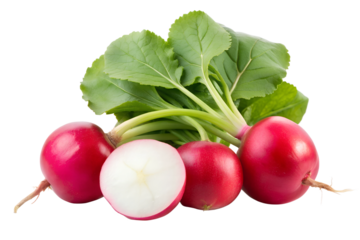Radish isolated on transparent background png