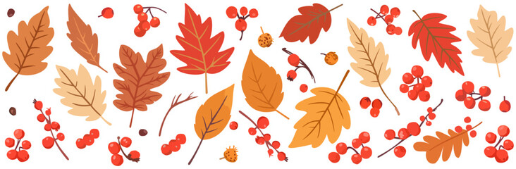 Obraz premium Vector set of bright autumn leaves and rowan berries isolated on white background