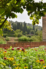 Obraz premium Espléndida vista de la Alhambra, uno de los destinos turísticos más icónicos de España. La imagen captura la majestuosidad de este histórico complejo, situado en la hermosa ciudad de Granada.