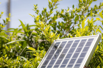 Close-up of a solar panel with green leaves and blue sky in the background, highlighting renewable...