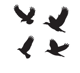 set of silhouettes of birds