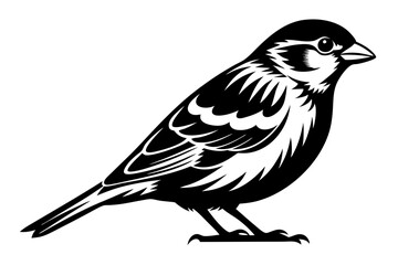 Sparrow silhouette vector illustration