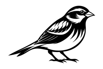 Sparrow silhouette vector illustration