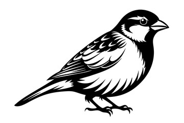 Sparrow silhouette vector illustration