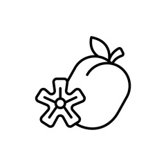 Plum fruit outline icons, minimalist vector illustration ,simple transparent graphic element .Isolated on white background