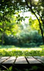 A serene wooden path leads through a vibrant forest, inviting nature lovers to explore its lush greenery and tranquility.