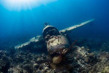 Jake sea plane that crash landed in the water in Palau