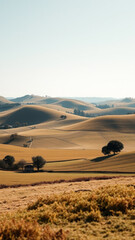 Obraz premium Rolling Hills and a Solitary Cabin in a Field