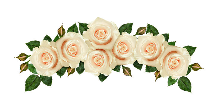 recommend clip art: White rose flowers in a floral arch arrangement isolated on white or transparent background