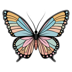 A color image of a butterfly. Butterfly in boho style
