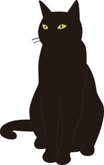 A black cat