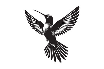 Hummingbird silhouette vector illustration