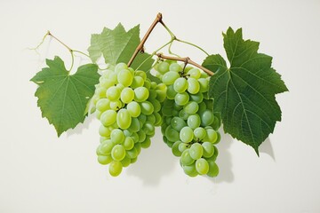 Obraz premium Bunch fresh green grapes their leaves picture