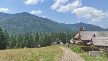 mountains in summer, carpathians, beautiful view of mountains and houses in mountains, countryside