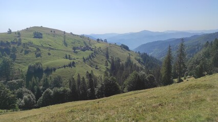Naklejka premium mountains in summer, carpathians, beautiful view of mountains and houses in mountains, countryside