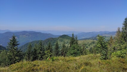 mountains in summer, carpathians, beautiful view of mountains and houses in mountains, countryside
